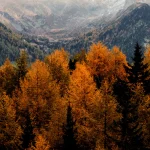 blog article 2